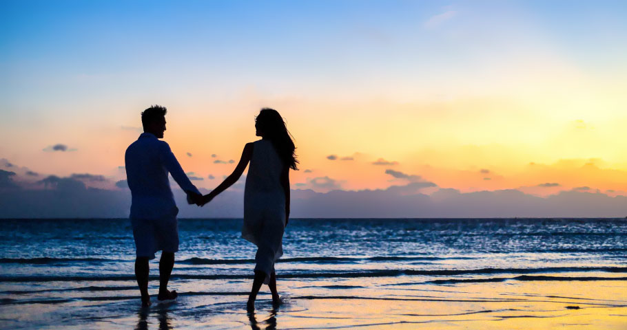 Meavit - Freude am leben